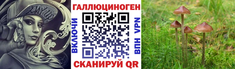 купить закладку  Чёрмоз  Псилоцибиновые грибы MAGIC MUSHROOMS 